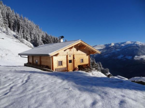 rustic alpine hut, Hippach in the Zillertal